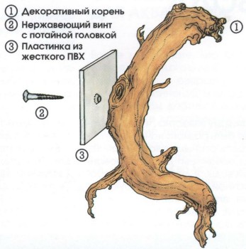 Часть I. Введение в аквариумистику | ОФОРМЛЕНИЕ ЗАДНЕЙ СТЕНКИ АКВАРИУМА