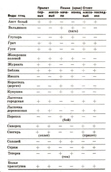 ЭНЦИКЛОПЕДИЯ ПРИРОДЫ | Наблюдения за птицами в природе