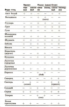 ЭНЦИКЛОПЕДИЯ ПРИРОДЫ | Наблюдения за птицами в природе