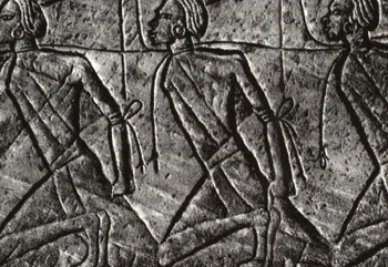 История человеческого общества | Царь Эхнатон и его борьба с жрецами