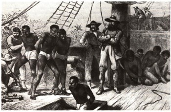 История человеческого общества | Международная работорговля в XVI — XIX веках