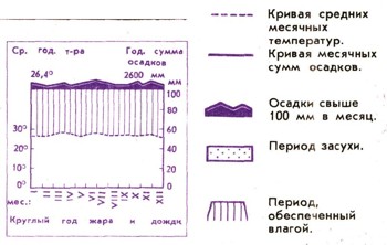 Энциклопедия о строении земли  | Растения и среда