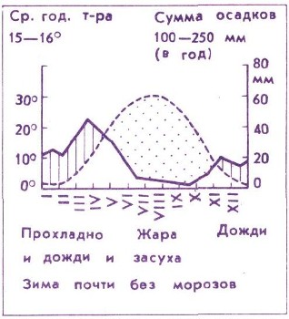 Энциклопедия о строении земли  | Сообщества растений