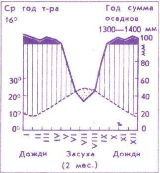 Энциклопедия о строении земли  | Распространение растений на земном шаре