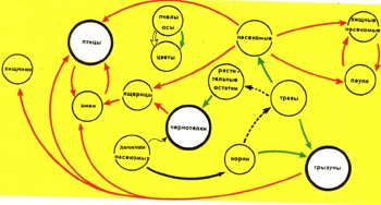 Энциклопедия о строении земли  | Животное население главных природных ландшафтов