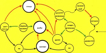 Энциклопедия о строении земли  | Животное население главных природных ландшафтов